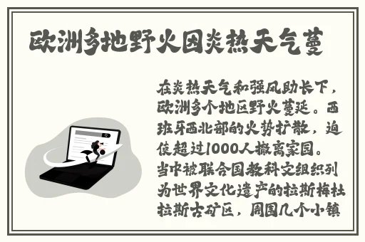 11岁下面能放几支笔